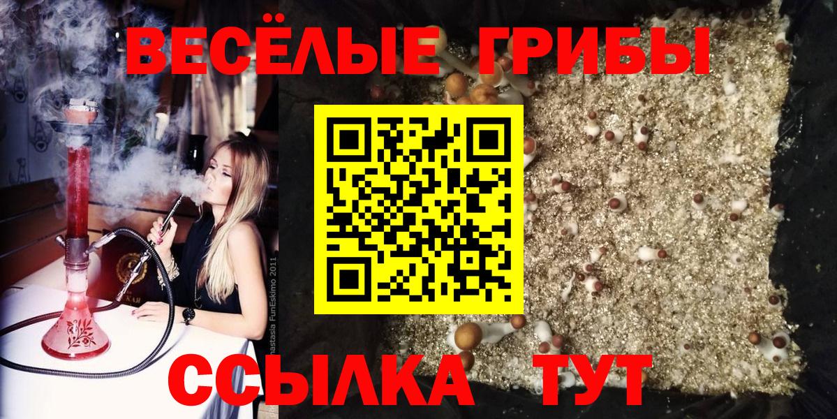 Галлюциногенные грибы Psilocybe Малоярославец