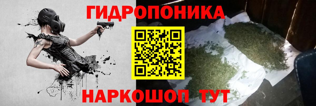 МАРИХУАНА конопля Малоярославец